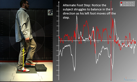 Functional movement system Functional movement system